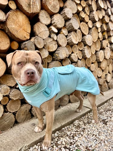 Customer photo review of Anxiety Calming Suit - Teal