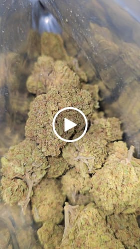 Customer video review of Cheap THCA Flower Ounce