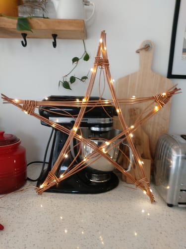 Customer photo review of Getting Started with Willow - Course and Kit