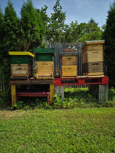 Customer photo review of BeeCastle Hives 8 Frame Deep Wax Dipped Box With Acrylic Window Brood Box Include Wooden Frame And Beeswax Plastic Foundation