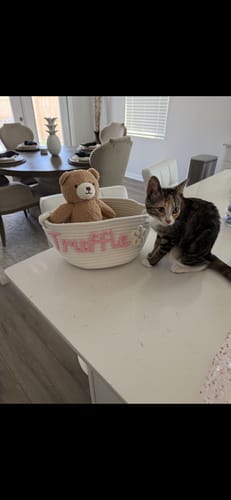 Customer photo review of Baby Knits™ Personalized Knitted Basket