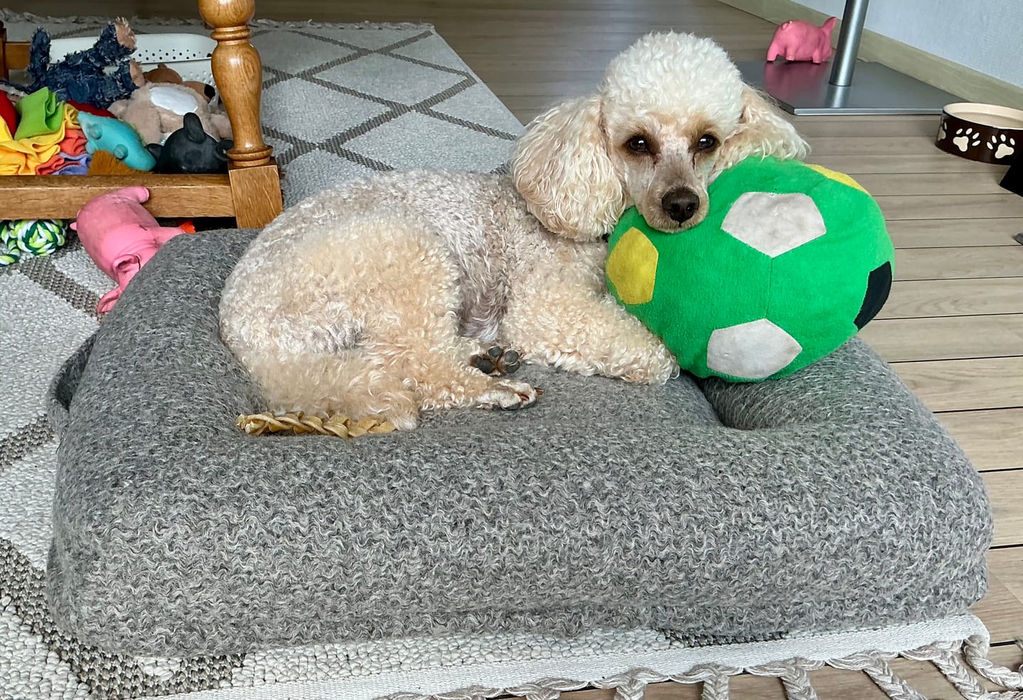 Customer photo review of Staey - Curl Hundeseng, Taupe