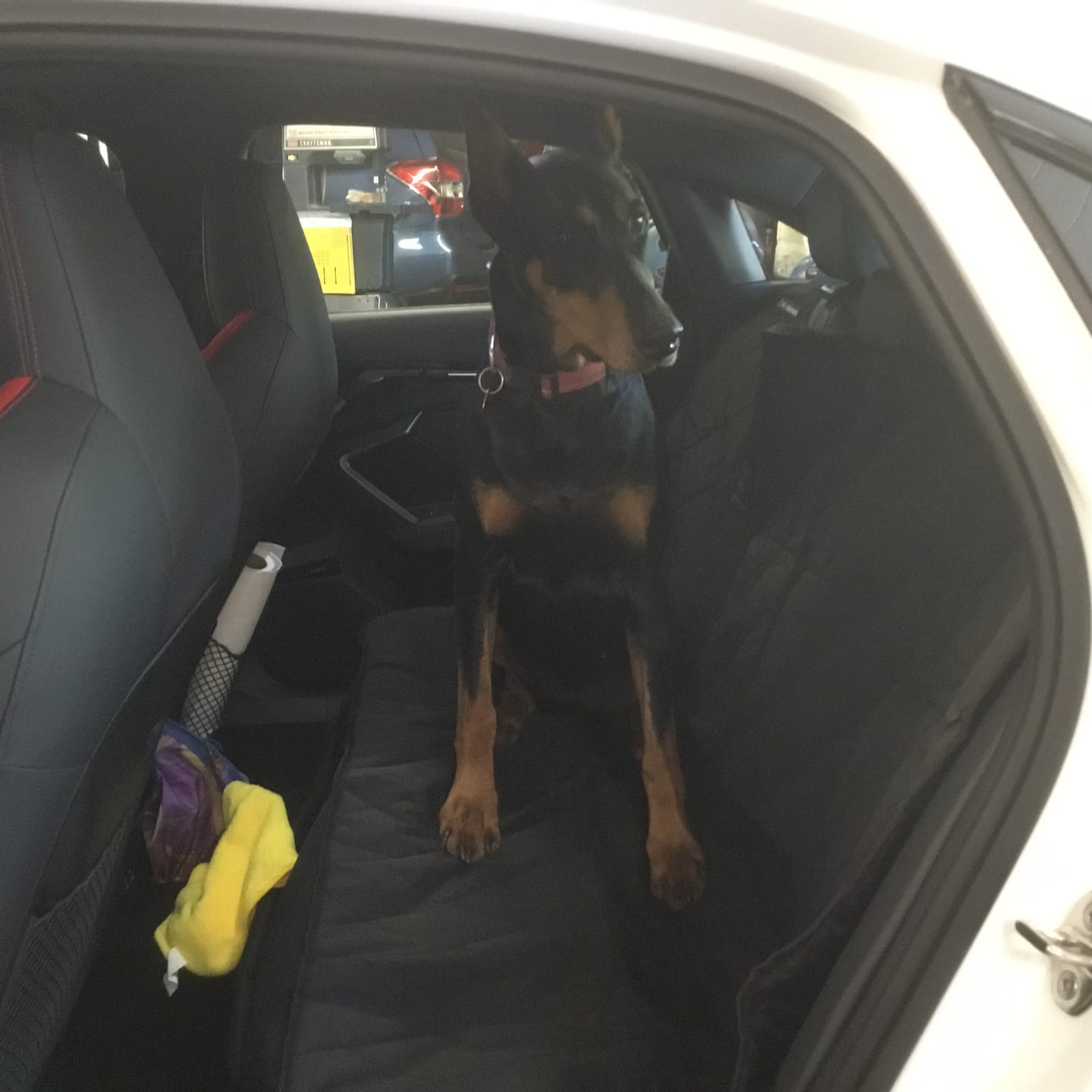 Customer photo review of Rear Seat Cover for Fold Down Seats - No Hammock - Regular