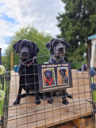 Customer photo review of Hunde-Türschild personalisiert mit Foto & Text (UV- und wetterfest)