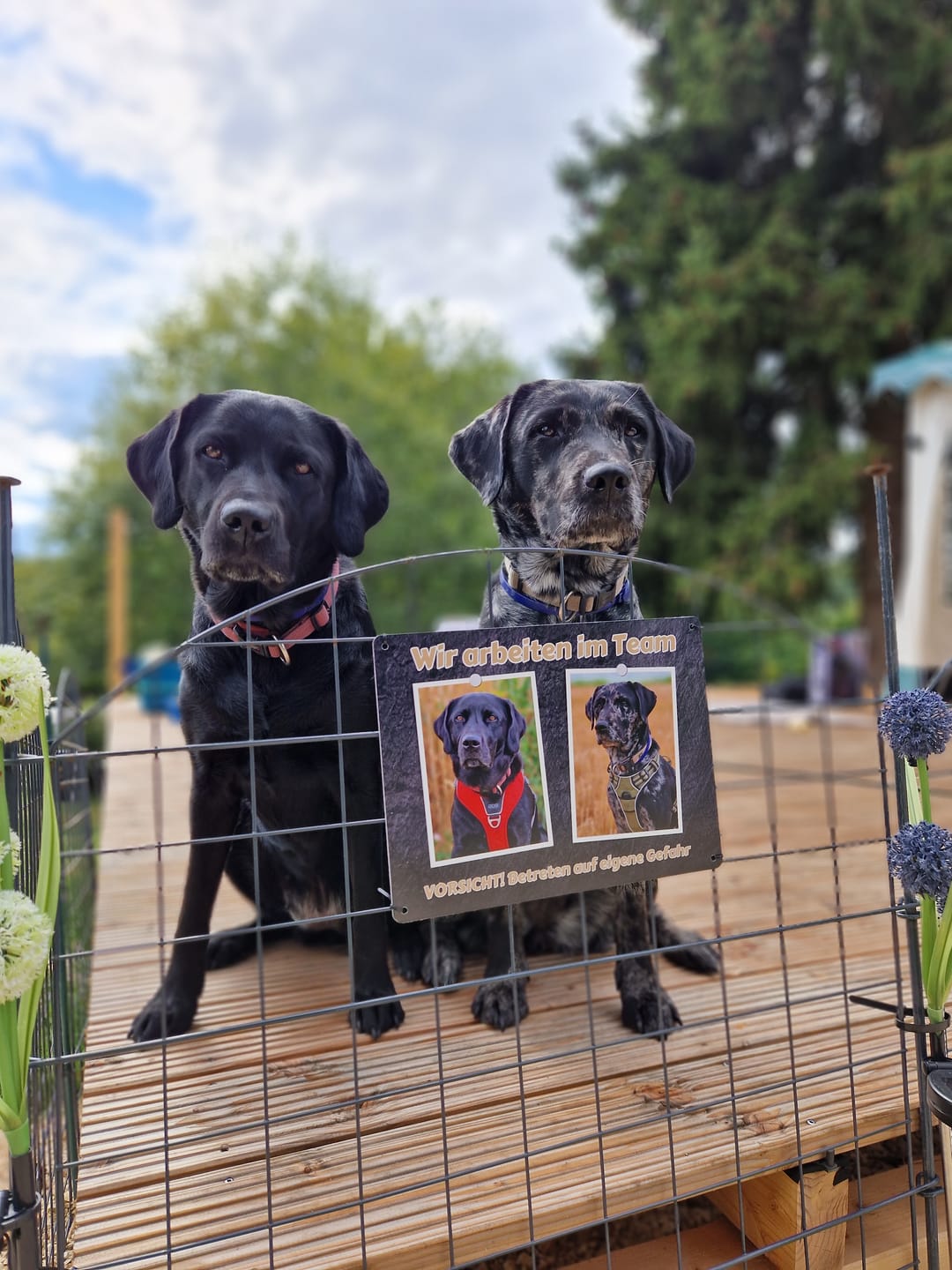 Customer photo review of Hunde-Türschild personalisiert mit Foto & Text (UV- und wetterfest)