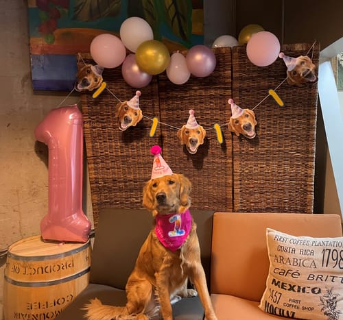 Customer photo review of Personalized Dog Party Pack