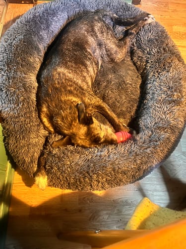 Customer photo review of CalmBed - Motverkar stress & hjälper mot ångest