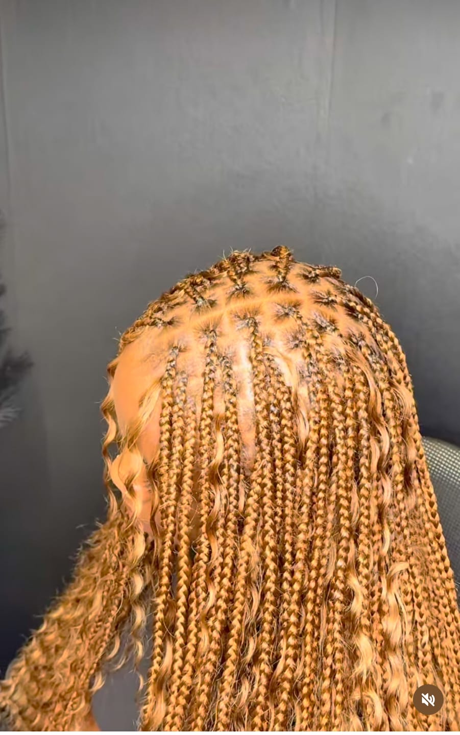Customer photo review of #30 Light Brown Deep Wave Bulk Hair Extensions for Braiding