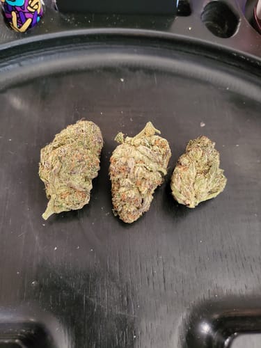 Customer photo review of Dream Walker