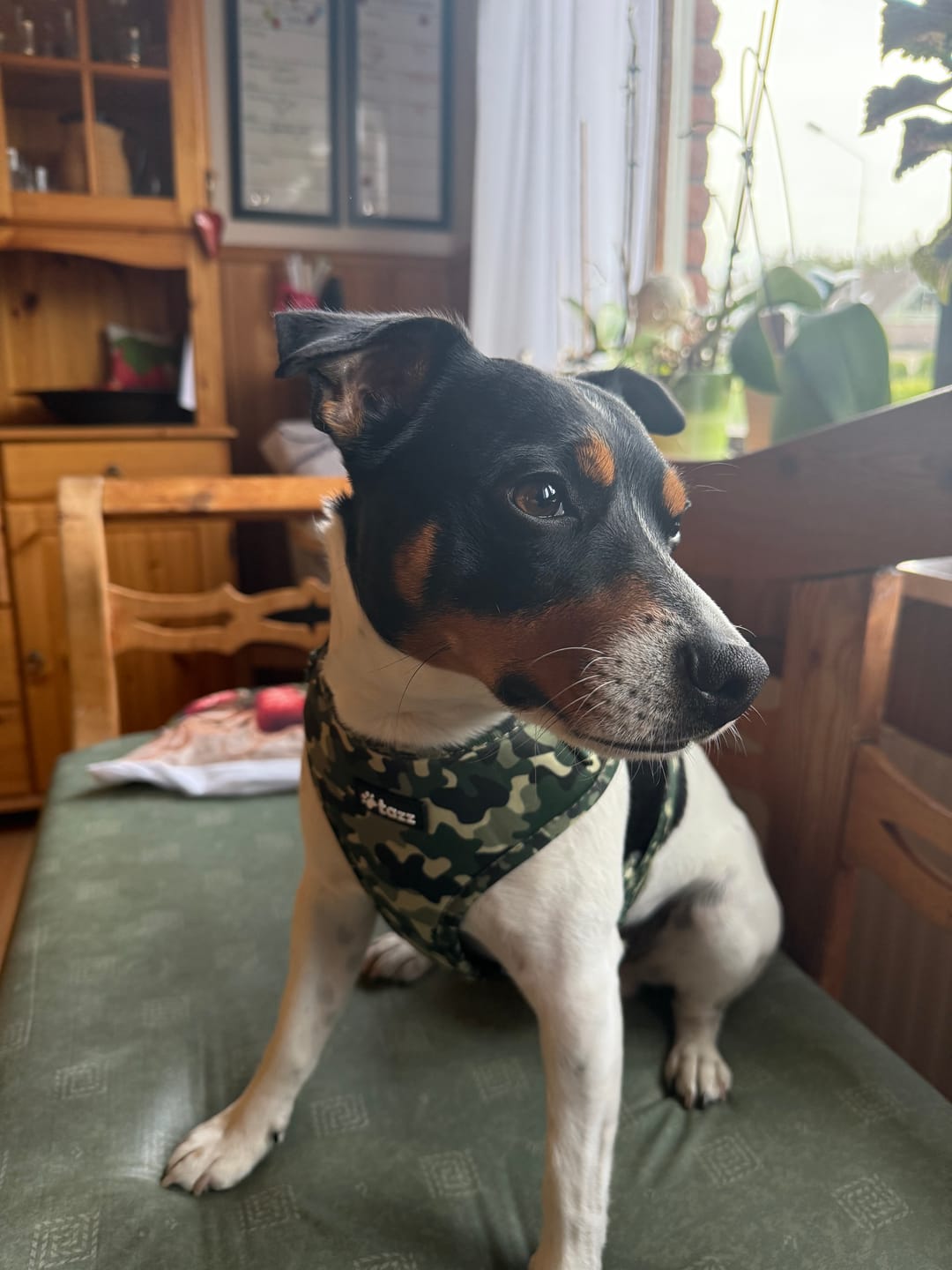Customer photo review of Sele - Green Camo