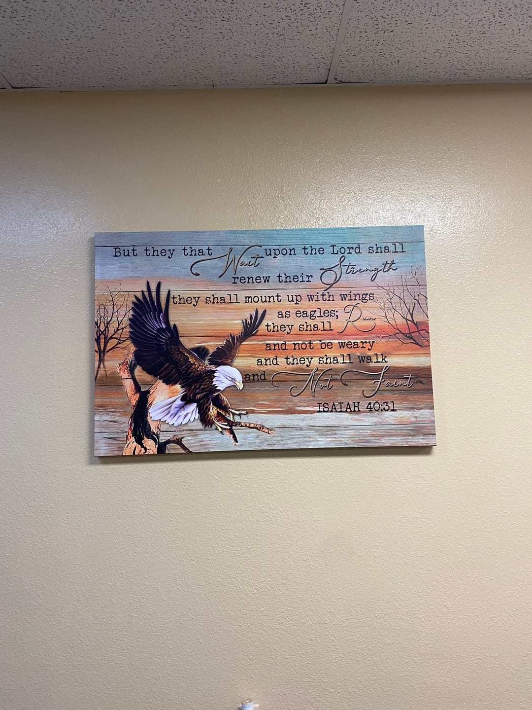 Customer photo review of They That Wait Upon The Lord Isaiah 40:31 Wall Art Canvas Print