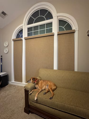 Customer photo review of SmartWings Motorized Roller Shades 100% Blackout Vigor