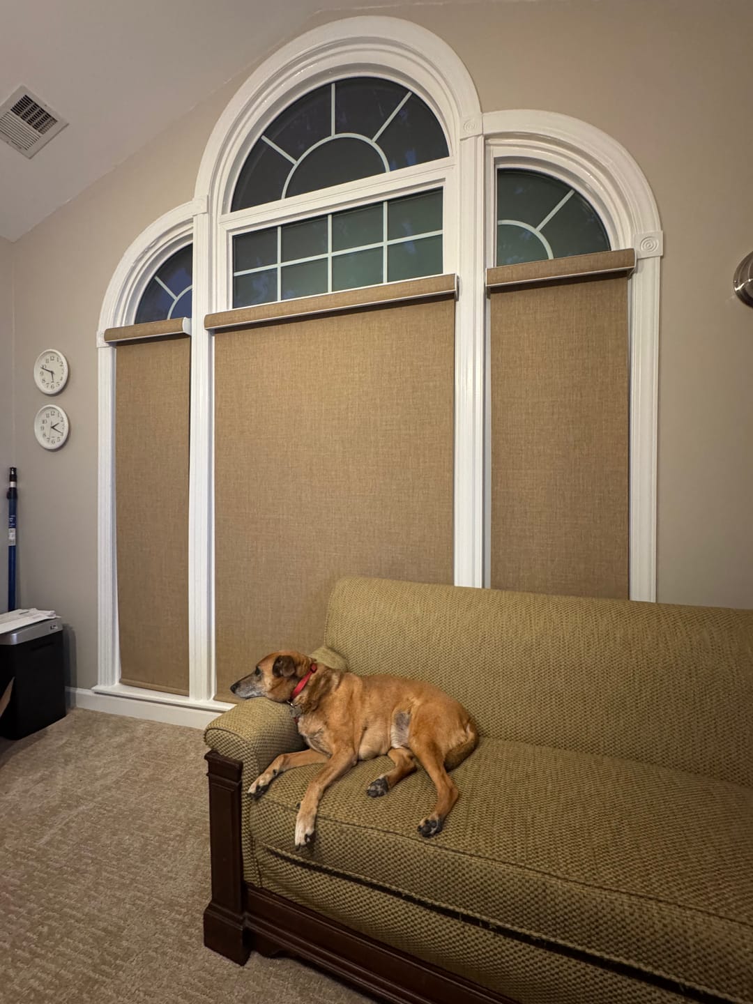 Customer photo review of SmartWings Motorized Roller Shades 100% Blackout Vigor