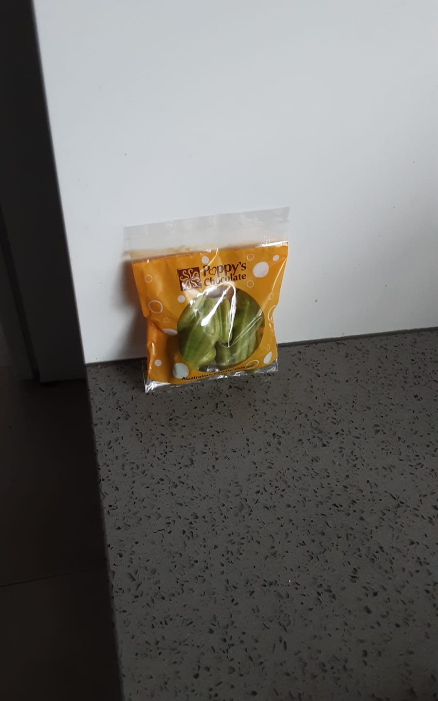 Customer photo review of Frogs Peppermint filled 2 pack