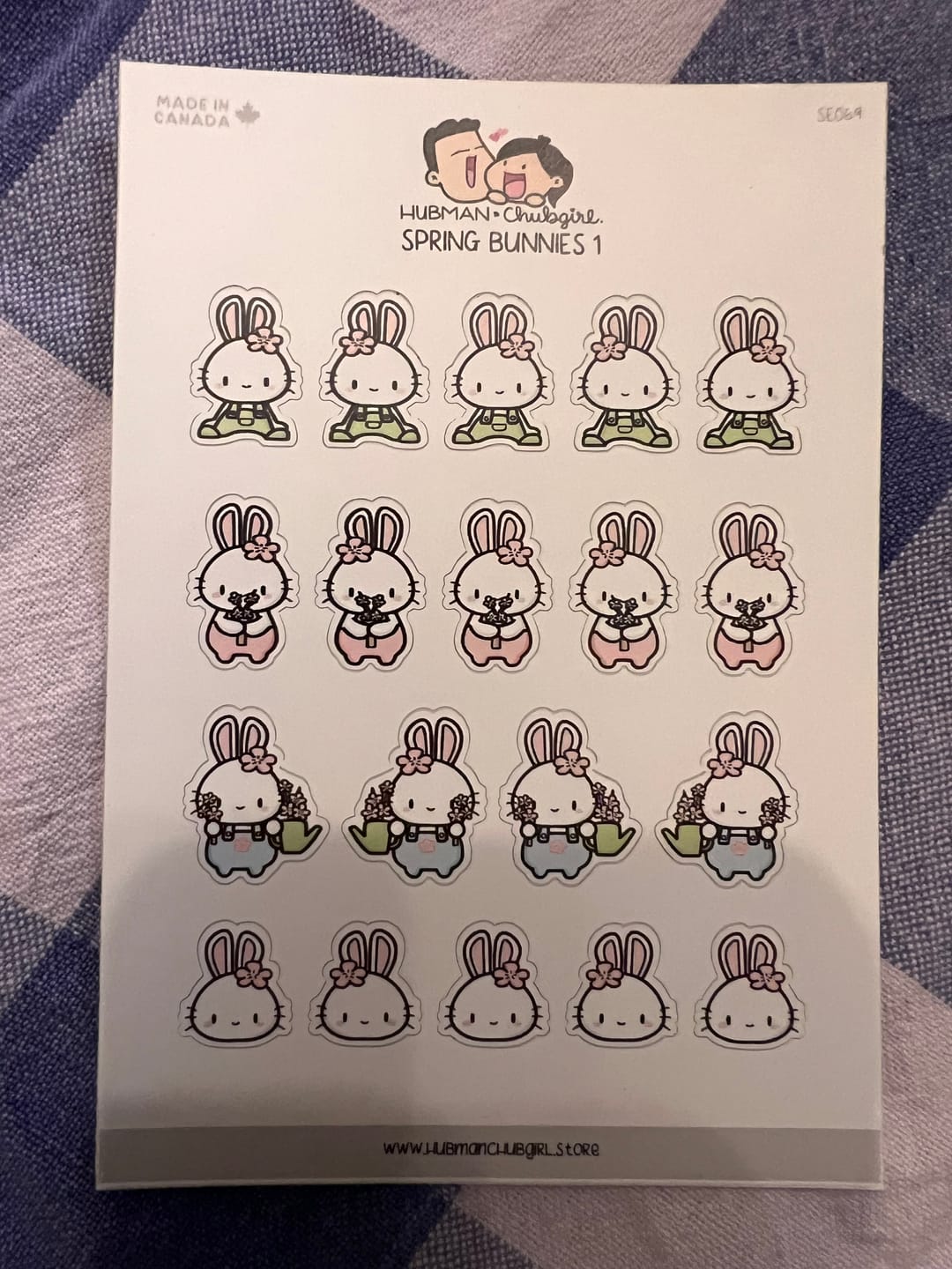 Customer photo review of Roadtrip Sticker Set