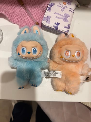 Customer photo review of Pop Mart Labubu The Monsters Big Into Energy Vinyl Plush Pendant (Single Blind Box)