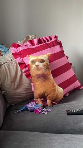 Customer photo review of Custom Pet Pillow