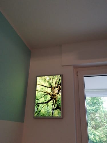 Customer photo review of Leuchtbild Acrylglas Canvalight® DIA | Baumkrone einer Buche | Hochformat