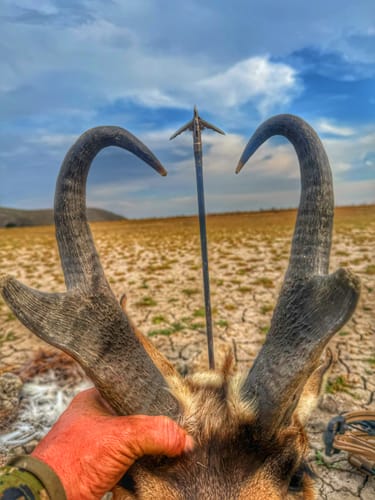 Customer photo review of Titanium Broadheads