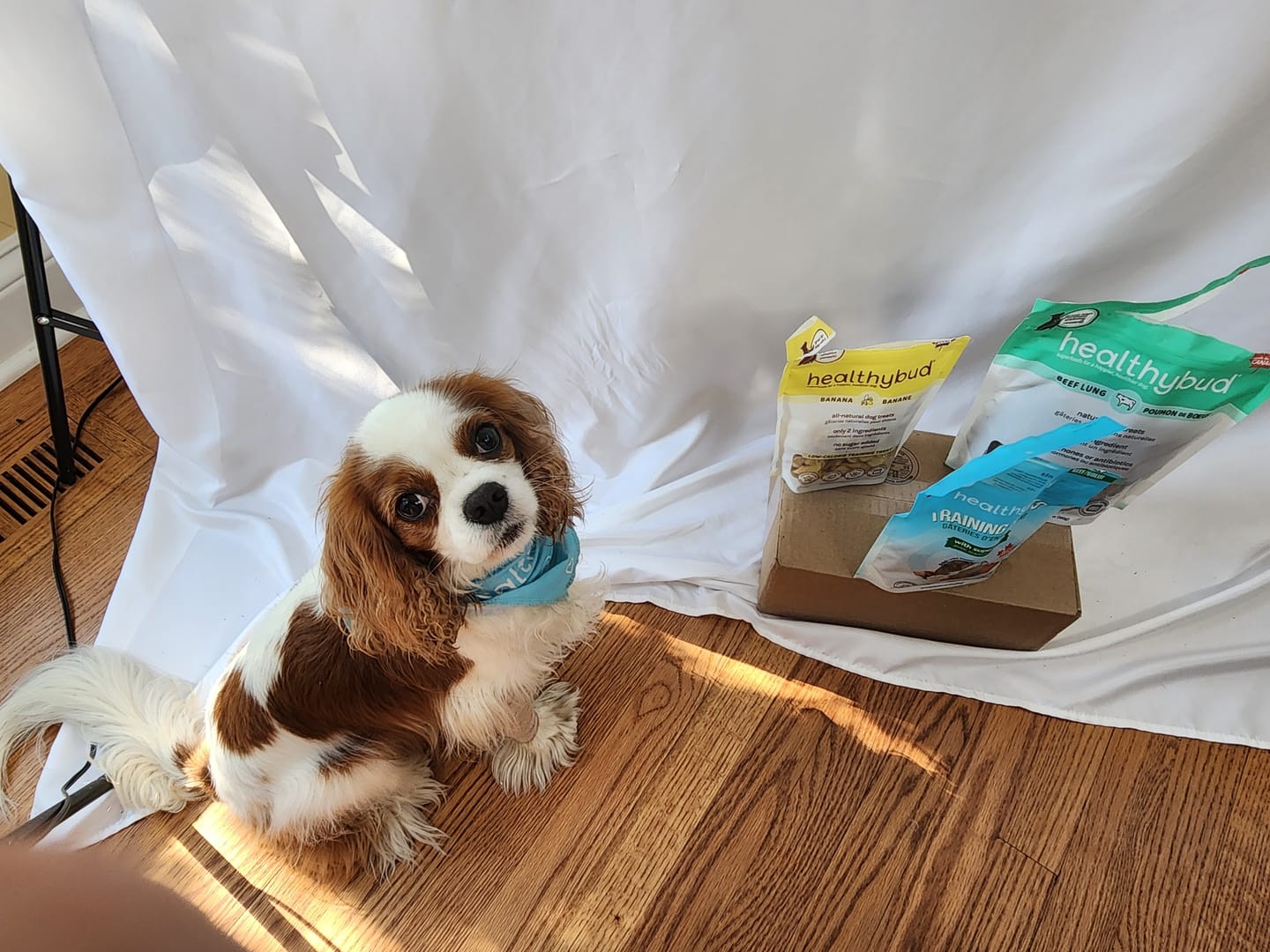 Customer photo review of Banana Chips