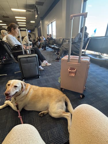 Customer photo review of Carry-On: All-in-One Expandable