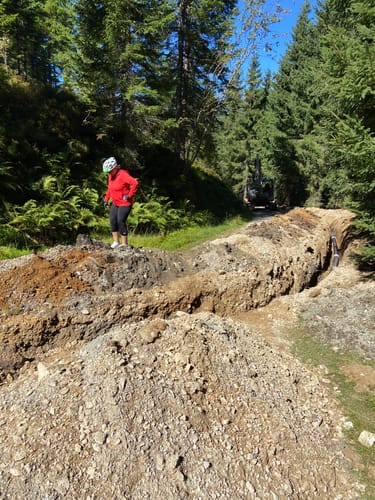 Customer photo review of Elegantes Kleid mit Leopardenmuster und V-Ausschnitt