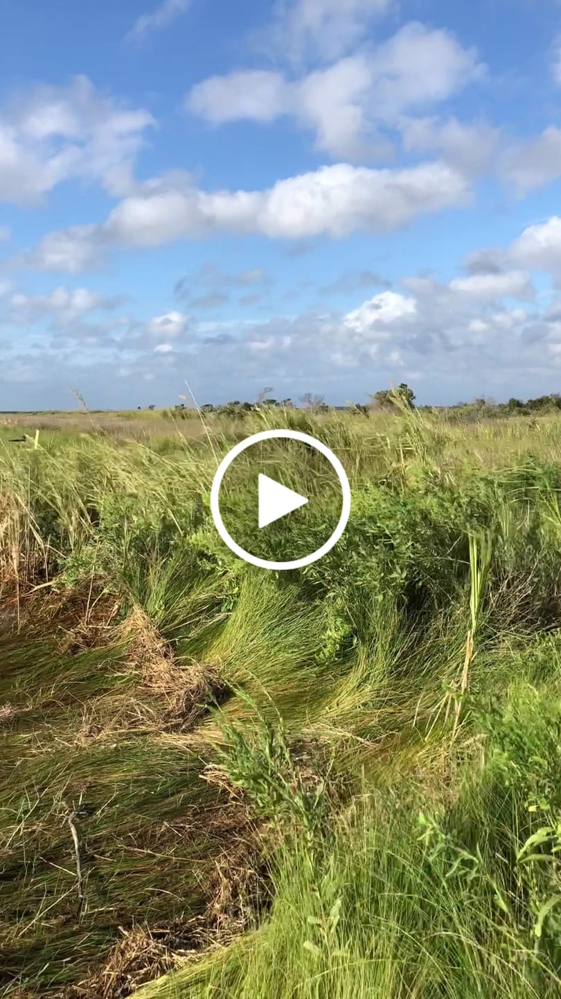 Customer video review of Moss Camo 300-2000 Yard Spools