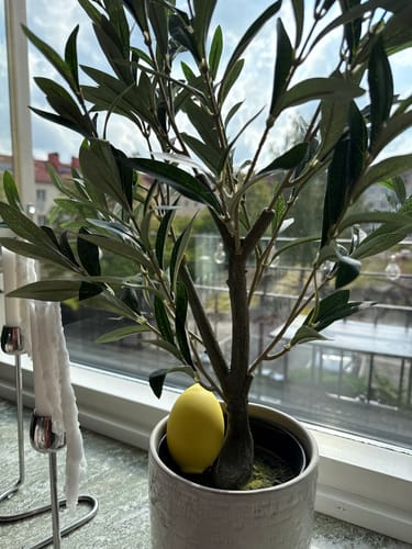 Customer photo review of Lem Clitoral Massager