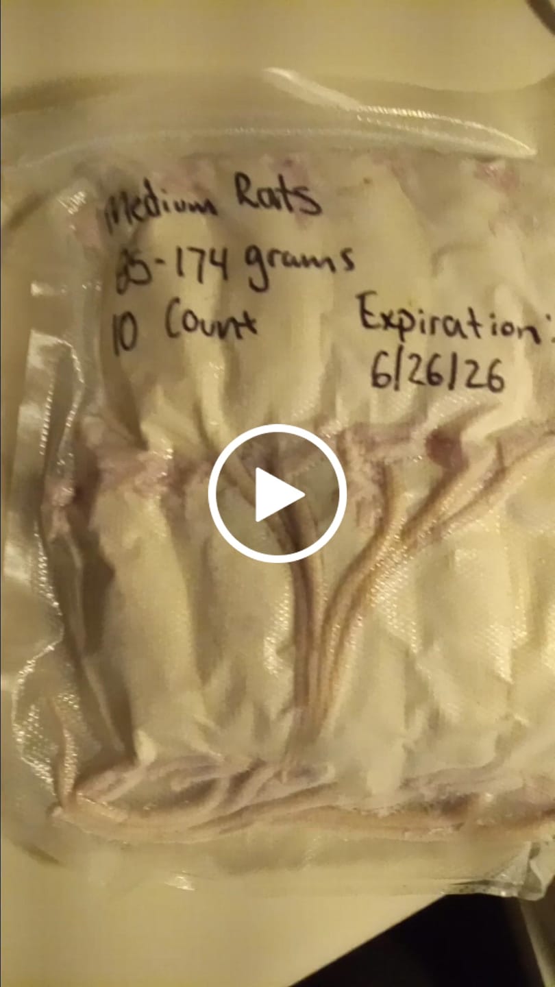 Customer video review of Medium Rats (10 Per Bag)