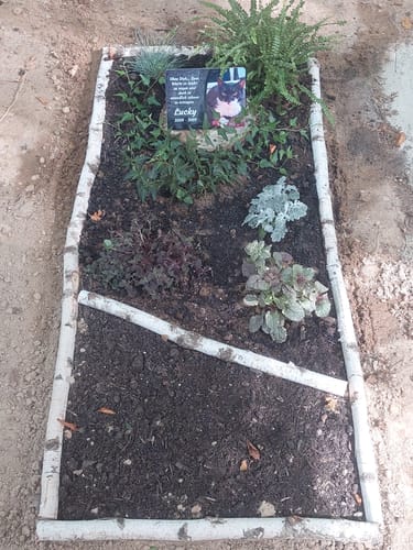 Customer photo review of Katzen Gedenktafel mit Foto & Spruch (UV- & Wetterfest)