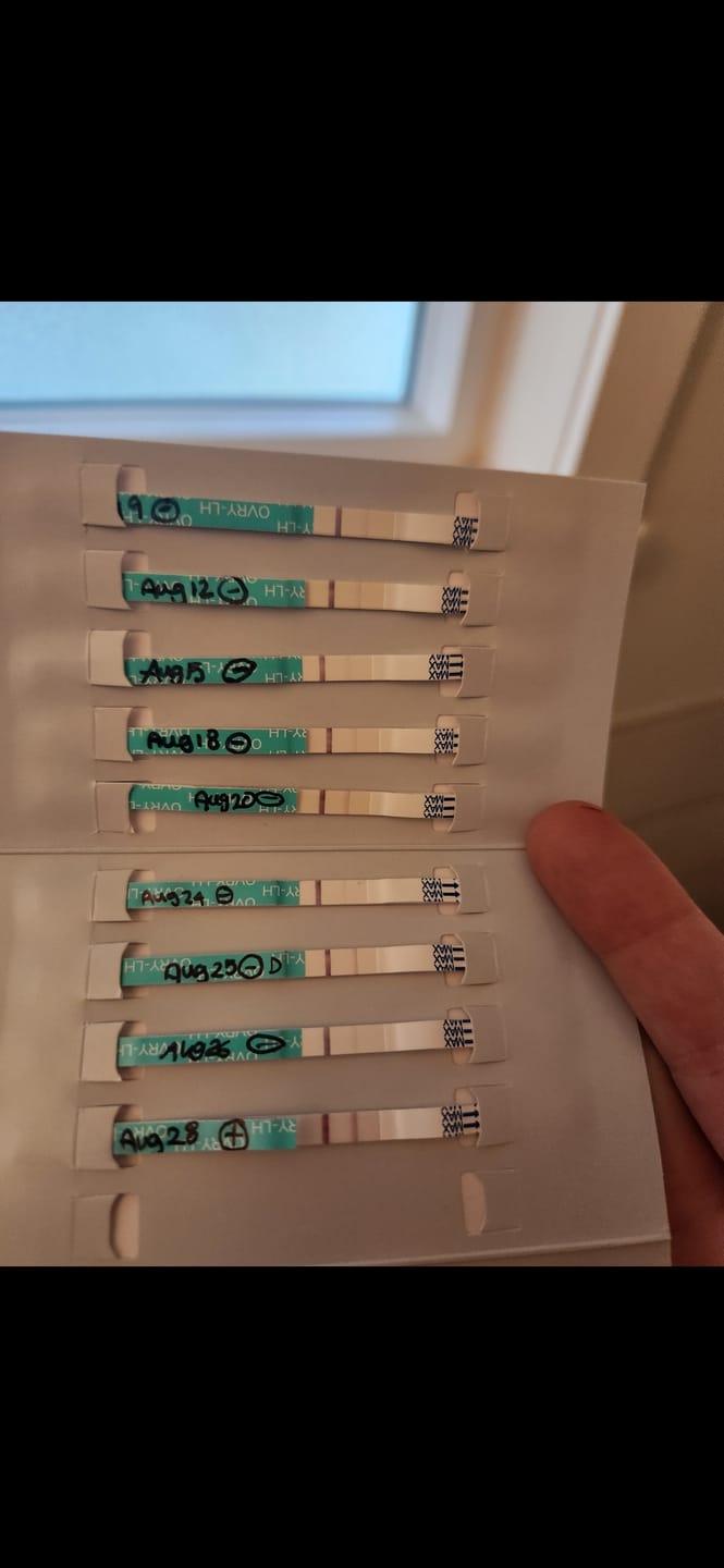 Customer photo review of Ovulation Test Strips