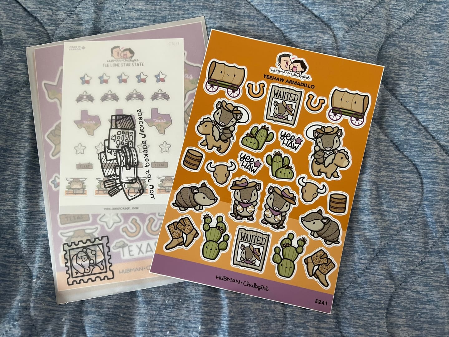Customer photo review of Yeehaw Armadillo Sticker Sheet