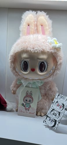 Customer photo review of Mokoko Close to Sweet Series Vinyl Face Plush Doll. Mokoko V1