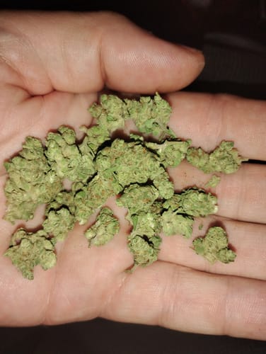 Customer photo review of Super Sonic THCA Flower Smalls