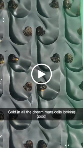 Customer video review of Clean Up Buddy Kit