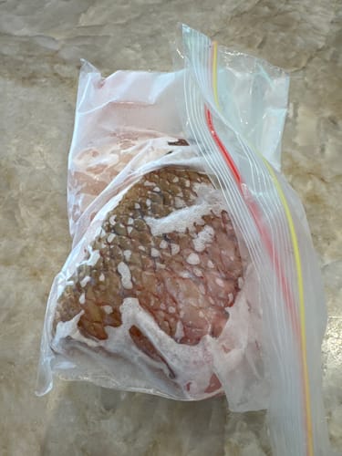 Customer photo review of Fresh Snapper Whole