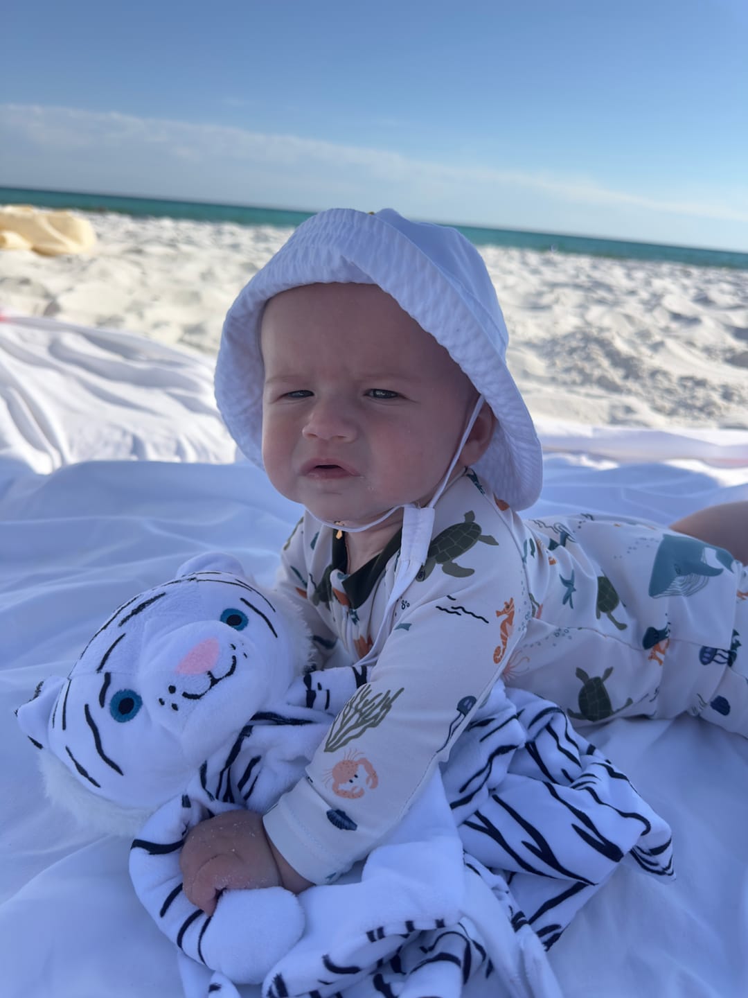 Customer photo review of Delly the White Tiger
