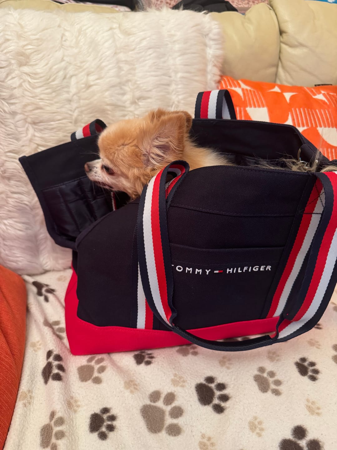Customer photo review of Tommy Hilfiger Canvas Dog Tote Bag
