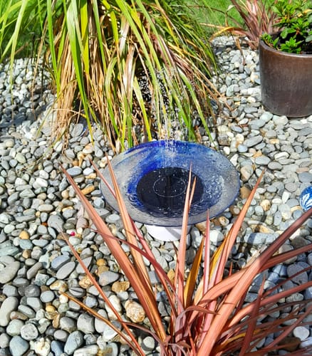 Customer photo review of AhiSpring™ | Solar Garden Fountain