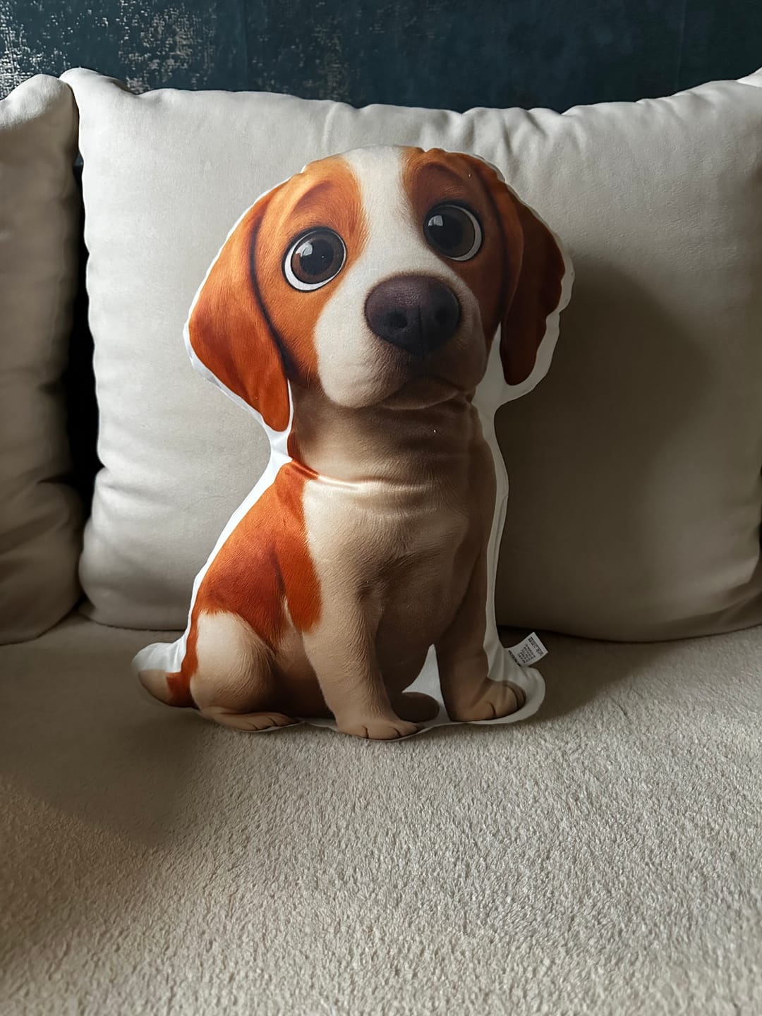 Customer photo review of Personalisiertes Formkissen - Cartoon Hund