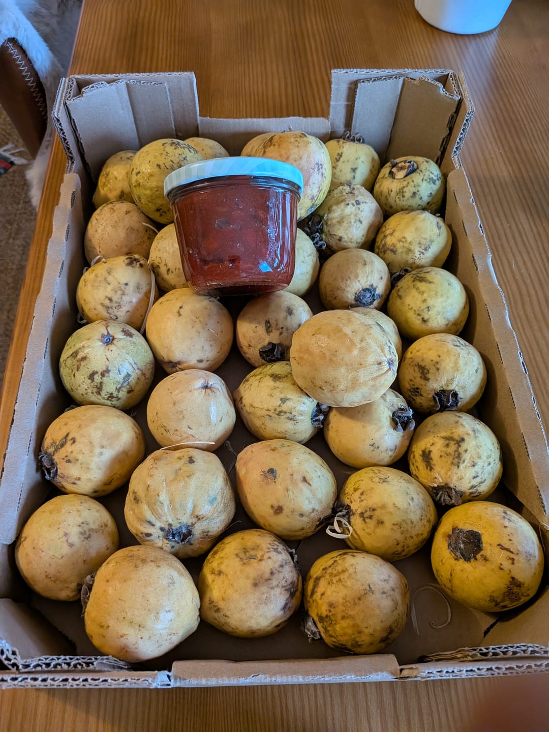 Customer photo review of Guave rot naturbelassen von Julian