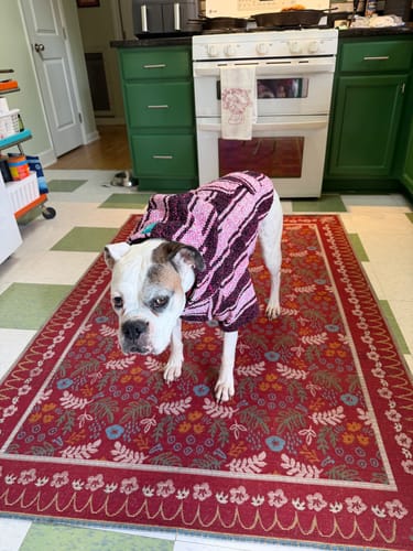 Customer photo review of Playa Poncho – Mystery Color (Bella, Charlie, or Fun Edition)