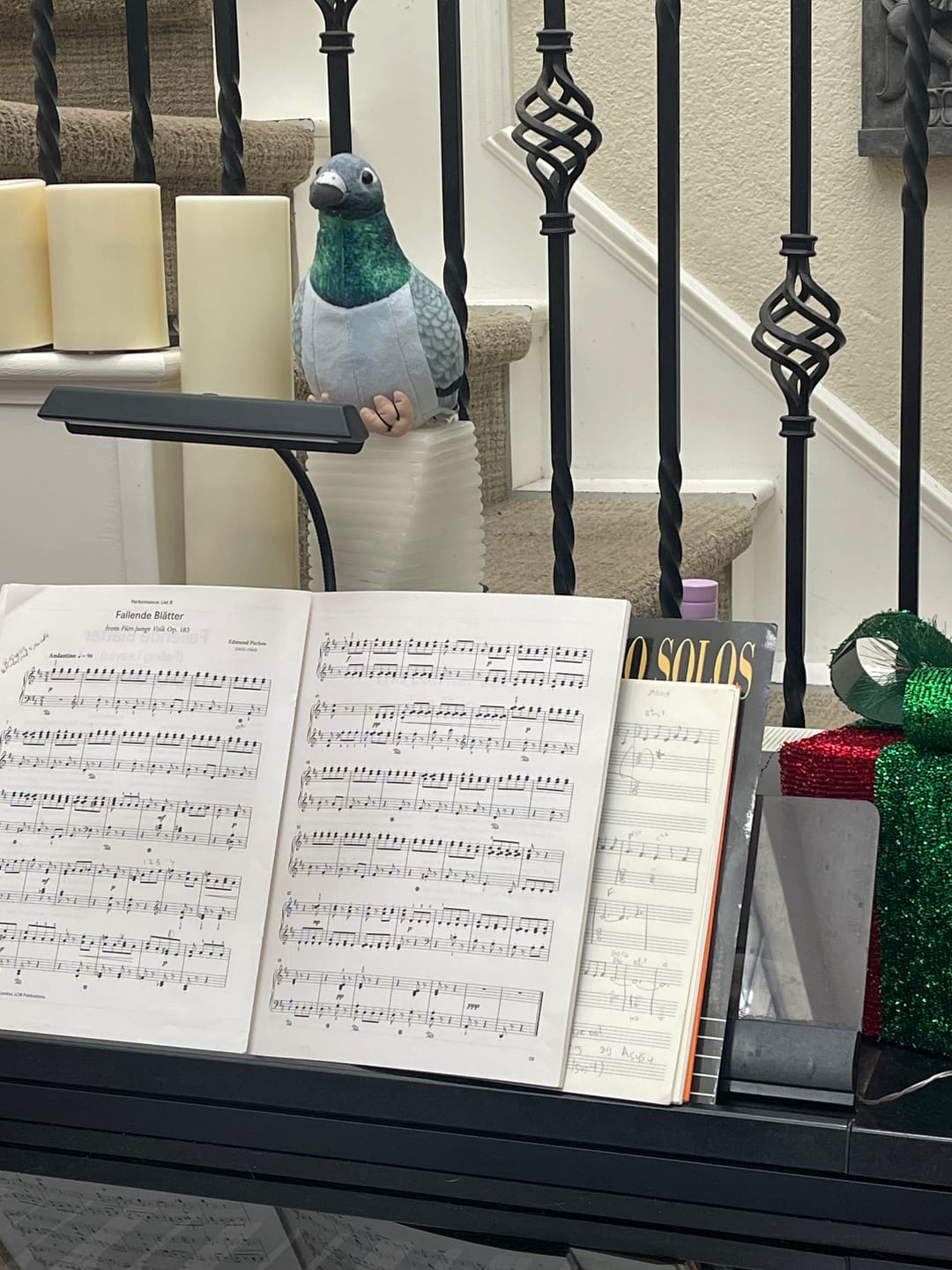 Customer photo review of Common Pigeon Bird Soft Stuffed Plush Toy