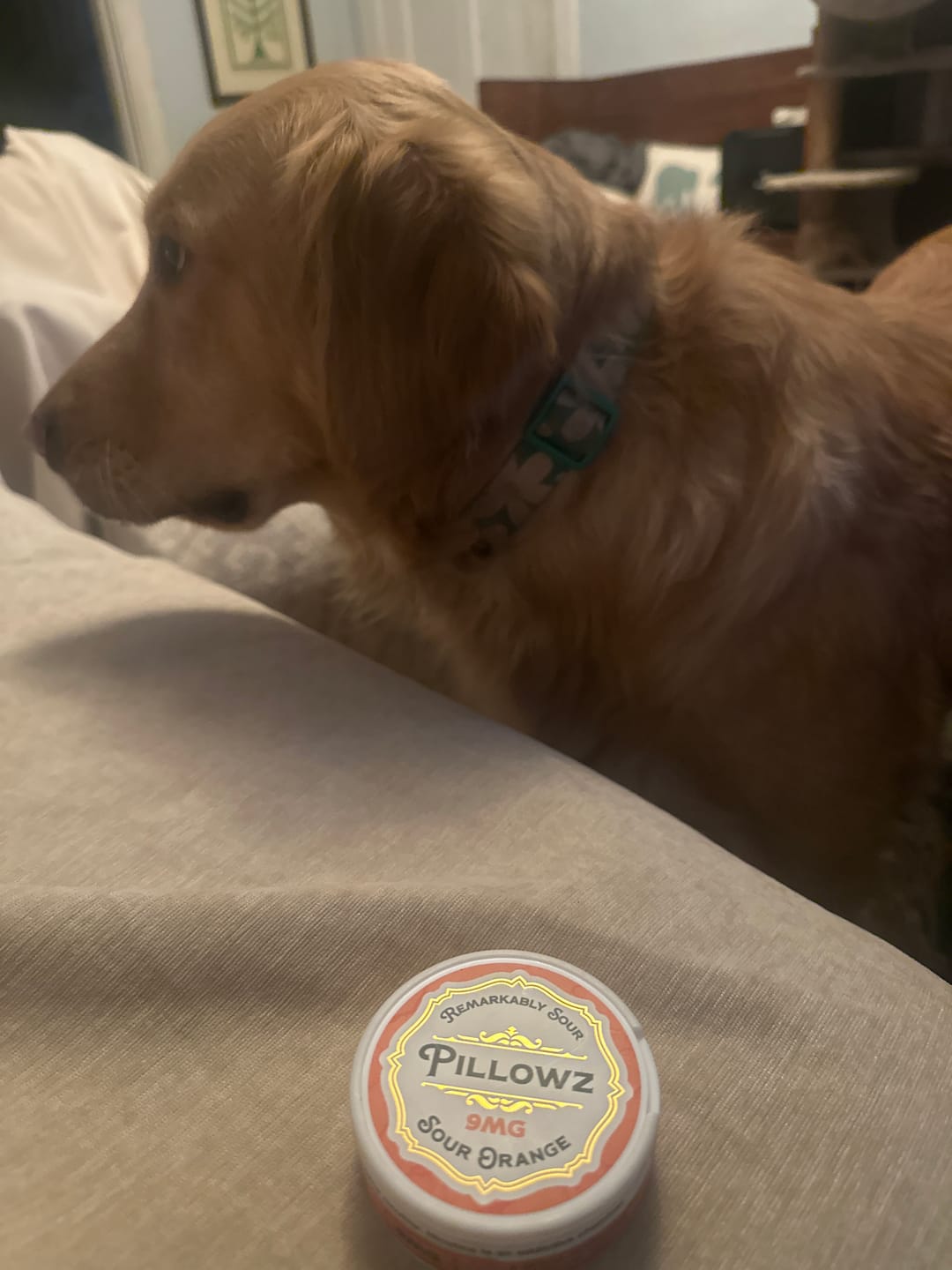 Customer photo review of Sour Orange