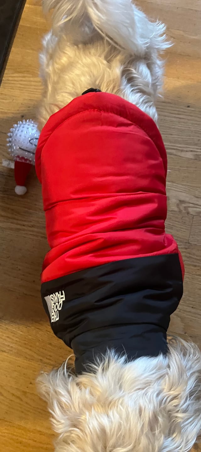 Customer photo review of The Dog Face Puffer™ Stylish Dog Winter Puffer Jacket XS-3XL | Dog Clothes