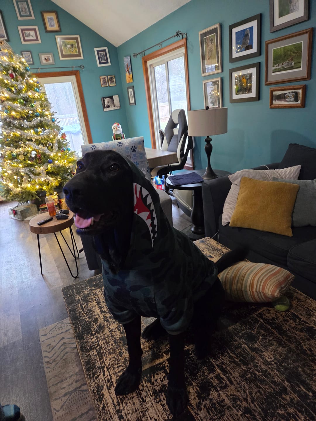 Customer photo review of Shark Monster Dog Hoodie - Green Camo