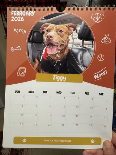 Customer photo review of Official Pupvote Cutest Pets of the Year Calendar (2026)