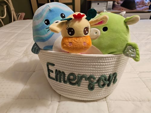 Reviewer's white Personalized Knitted Basket with the name 'Emerson' in green yarn, filled with plush toys.
