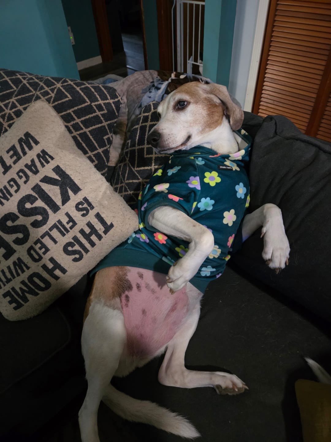 Customer photo review of Daisy Dog Hoodie - Green