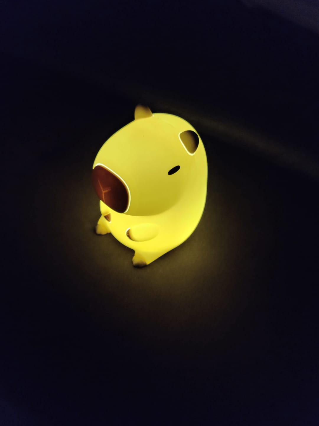 Customer photo review of MeWaii® Capybara Squishy Night Light - Perfect Gift 🎁